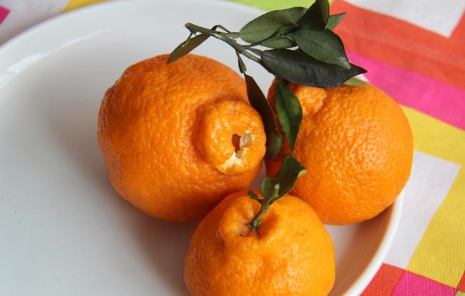 丑橘应该如何种？科学的管理让丑橘味美汁多吃不腻，快来学习