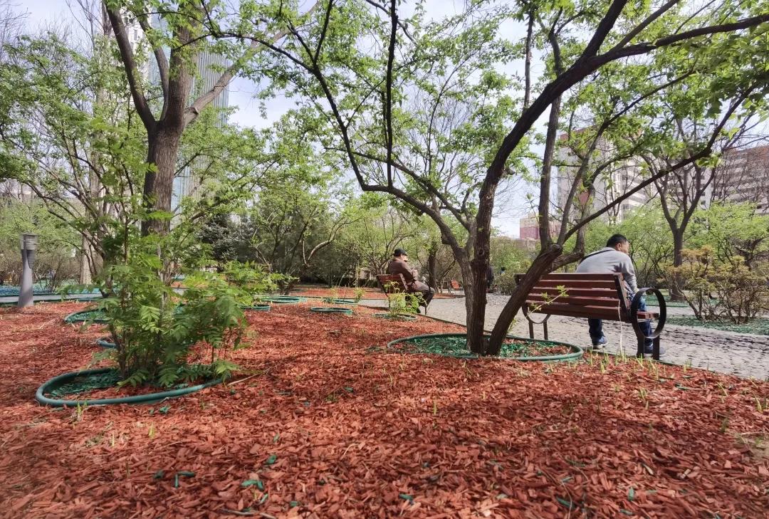 石景山公园绿地景观效果,石景山网红打卡地夜景