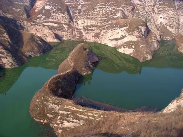 大连蛇岛20000条毒蛇吃什么,中国大连蛇岛蛇是怎么形成的