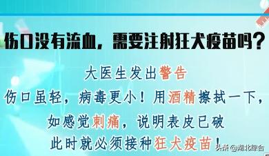 伤口没流血还需要消毒吗,被猪咬了流血了需要打狂犬疫苗吗