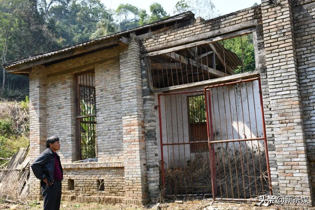 南糯山茶叶的故事,南糯山茶厂视频