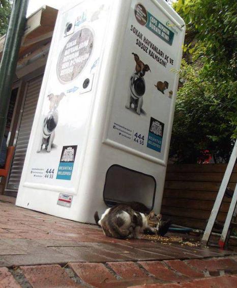 全球最先进的自动售货机,盘点那些奇异的自动售货机