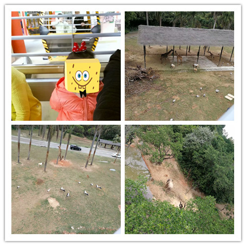 广州长隆海洋王国和珠海海洋王国,广州长隆海洋王国和珠海长隆