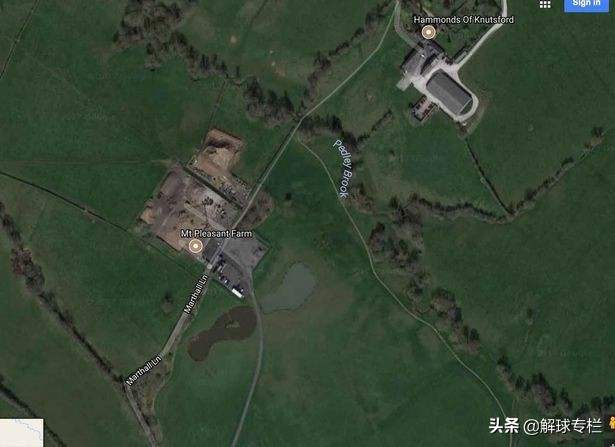 鲁尼卖鱼,鲁尼买鱼