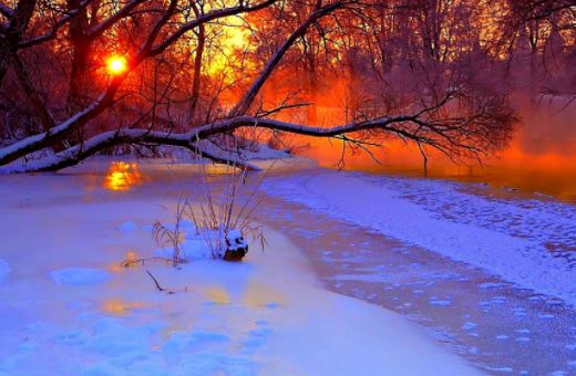 初冬最美诗词赏析,八首冬至诗词让你邂逅最美冬天