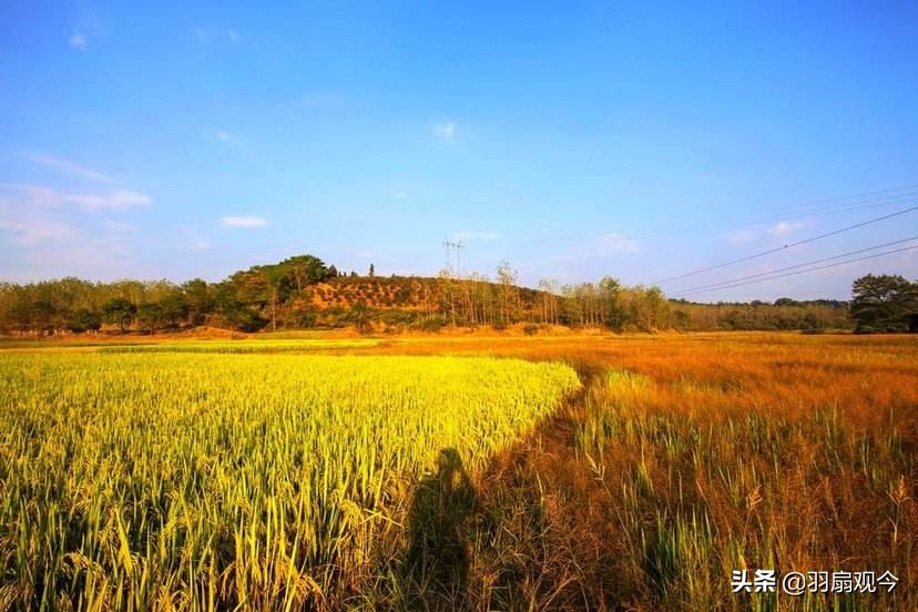 湖南方言不同之处,趣味横生的读音