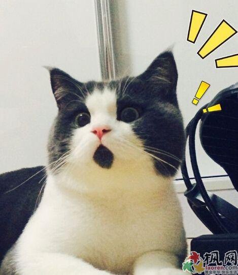 海藻保湿凝胶怎么用,海藻凝胶的正确使用方法