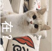 测18款美白精华，9款有效美白，但其中4款用了要出大问题？