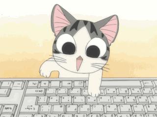 猫加强和猫三联一样吗,猫大狸花猫