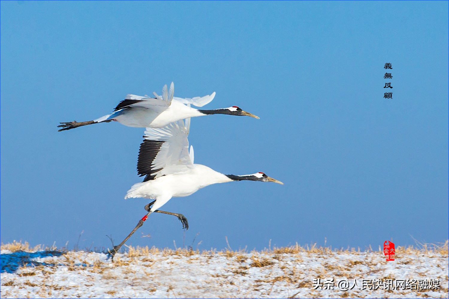 白衣天使大爱无疆的精神,白衣天使大爱无边完整版