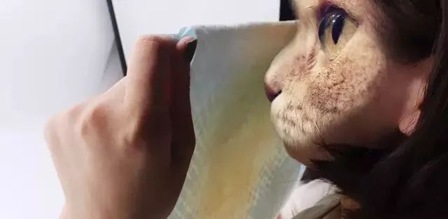 全网销量前三的怡亲、宠宠熊、诺比瑞，被虐成渣渣