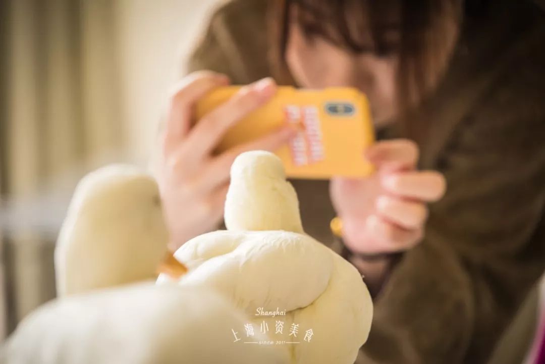 2019宠物排名,2022宠物排行榜