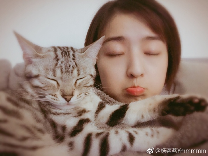 杨茗茗踢球,天下足球杨茗茗去哪儿了