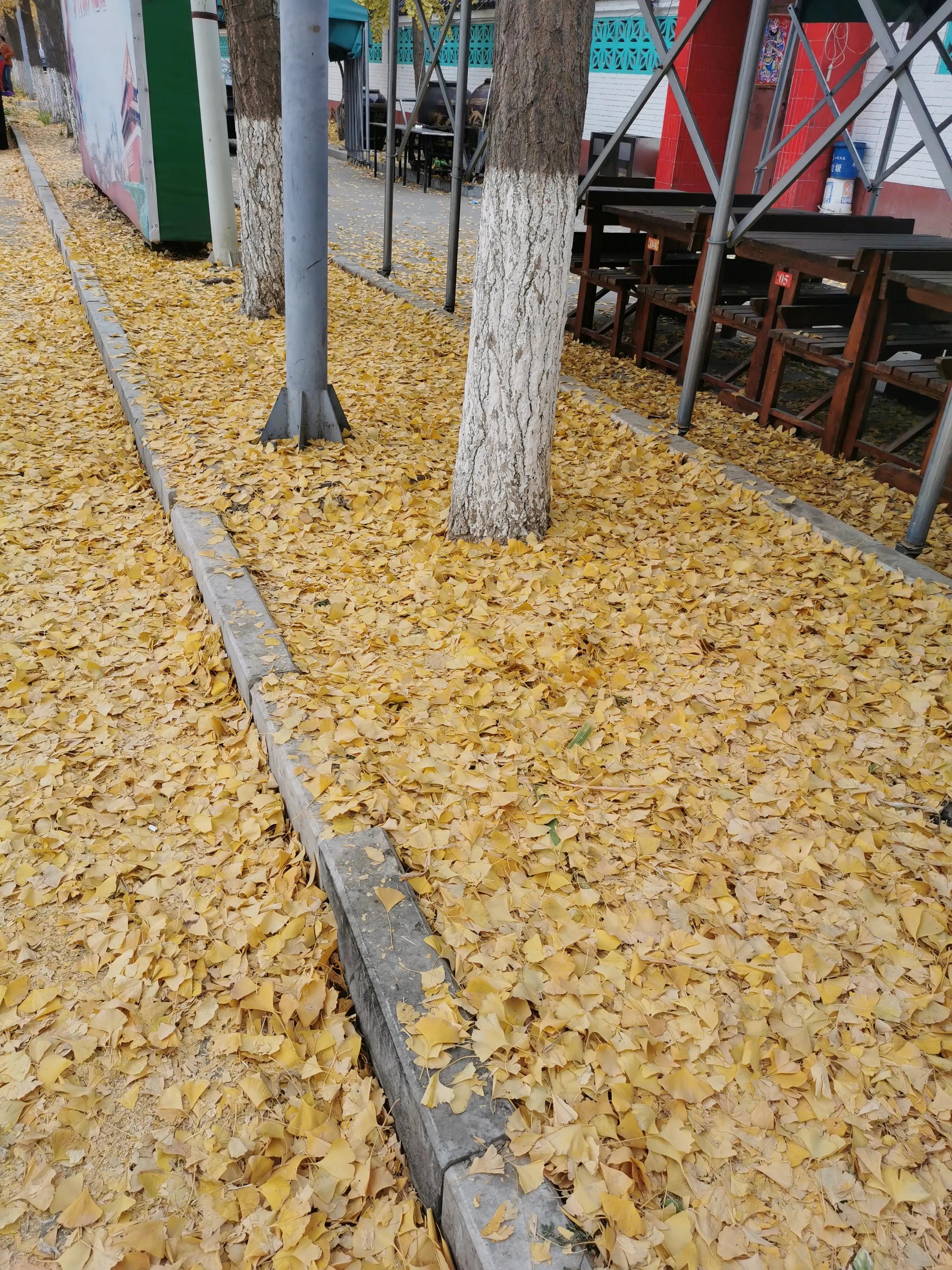 北京房山最美乡村项目,韩村河是中国十佳乡村吗