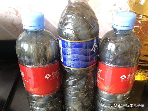 新鲜虾怎么保存几个月都不会坏,正箱鲜虾保存应放冷藏还是冷冻