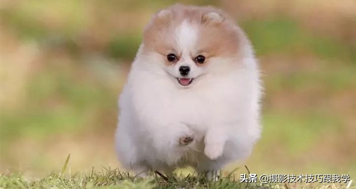 单反摄影入门必学的15个摄影知识,摄影知识学习视频教程全集免费