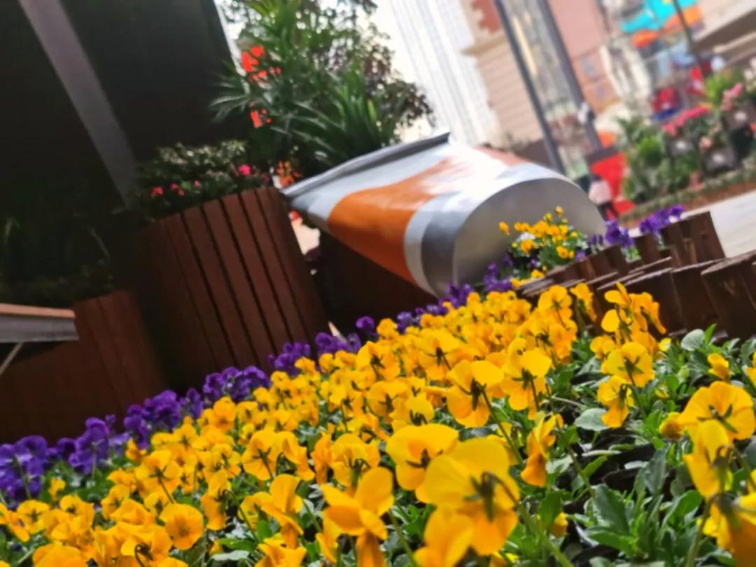 就地过年的新气象,原来就地过年也可以很欢乐