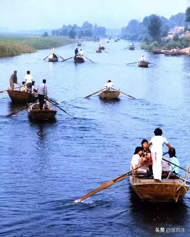 我想吃烤山药是什么歌,我想吃烤山药改编版