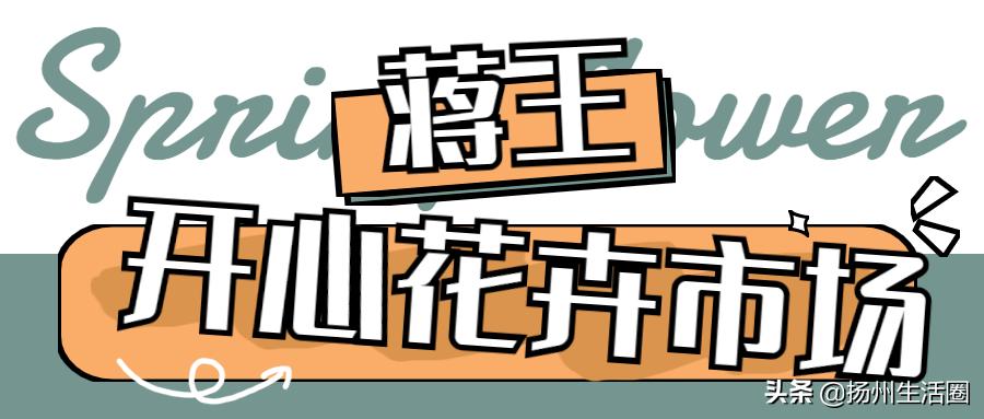 2元花盆批发,2元左右的花盆
