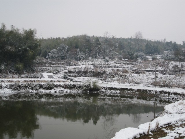 承包一片鱼塘,承包一个鱼塘的前景