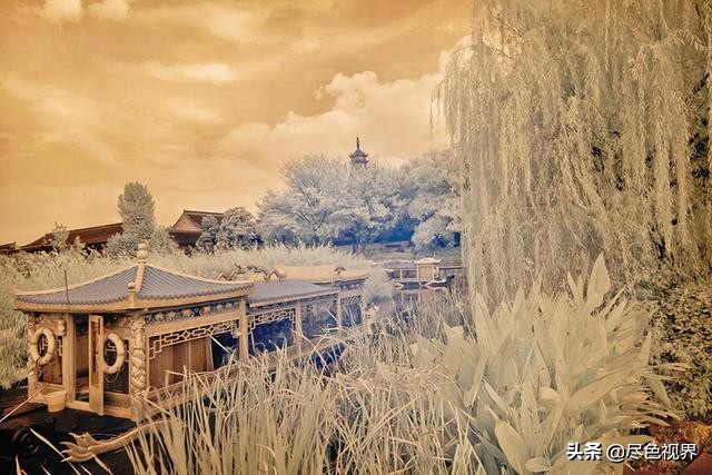 这枚“小品圣手”+吃货,从镇江飘然而过