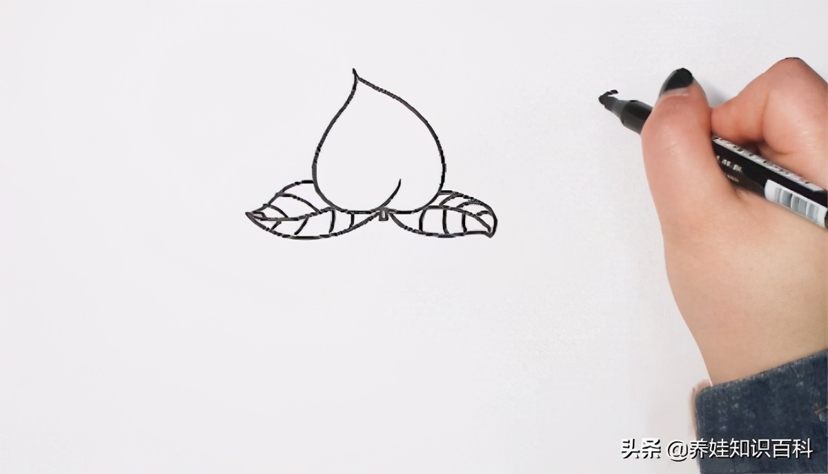 秋天成熟的水果有哪些简笔画,水果简笔画图片萌图100张