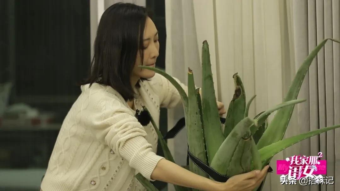 精致的女明星私底下生活,女明星有多精致