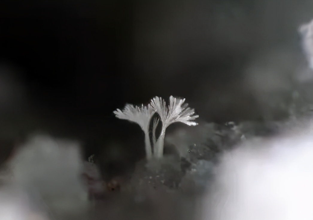 天然锆石与合成锆石区分,锆石和钻石能一眼看出区别吗