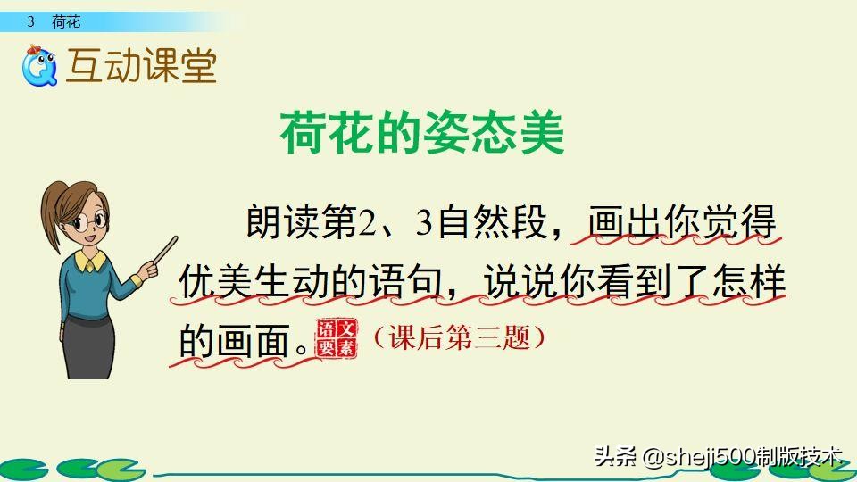 部编版三年级下册语文3荷花讲解,三年级下册部编语文荷花教学视频