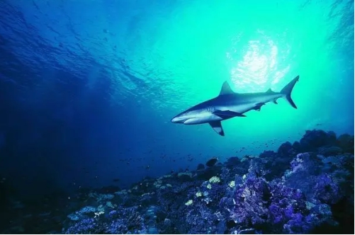 在屋里呆缺氧怎么办最有效的方法,晚上睡觉房间缺氧怎么解决
