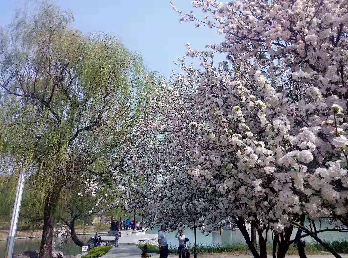 达活泉的春天图片,达活泉的秋景