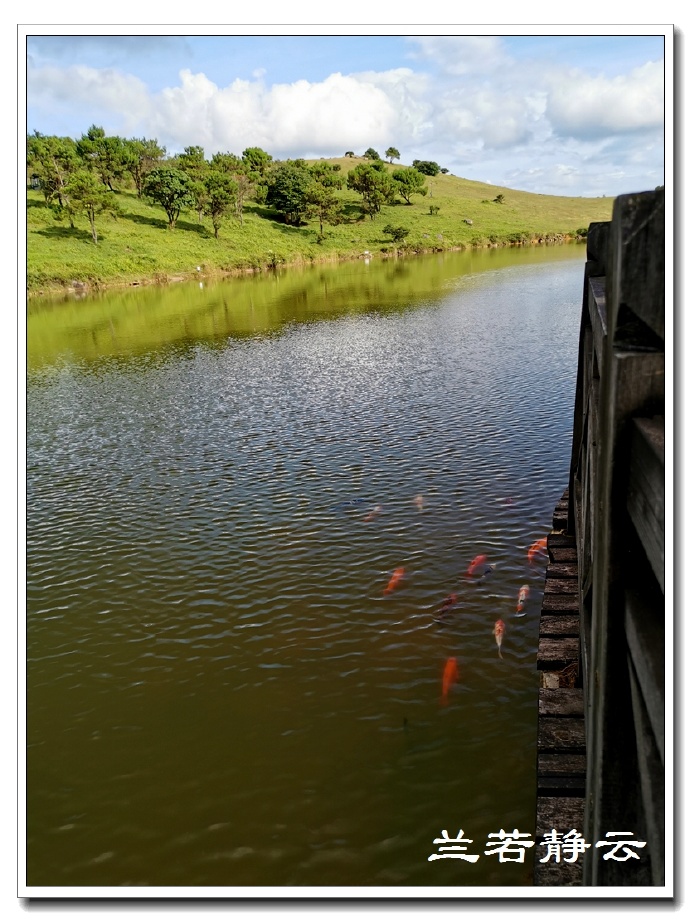 福建永泰云顶山风景图片,福州永泰云顶风景如画成避暑胜地