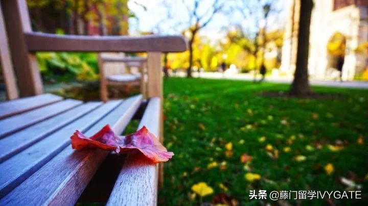 在芝加哥大学读博士是如何的体验,在芝加哥的大学