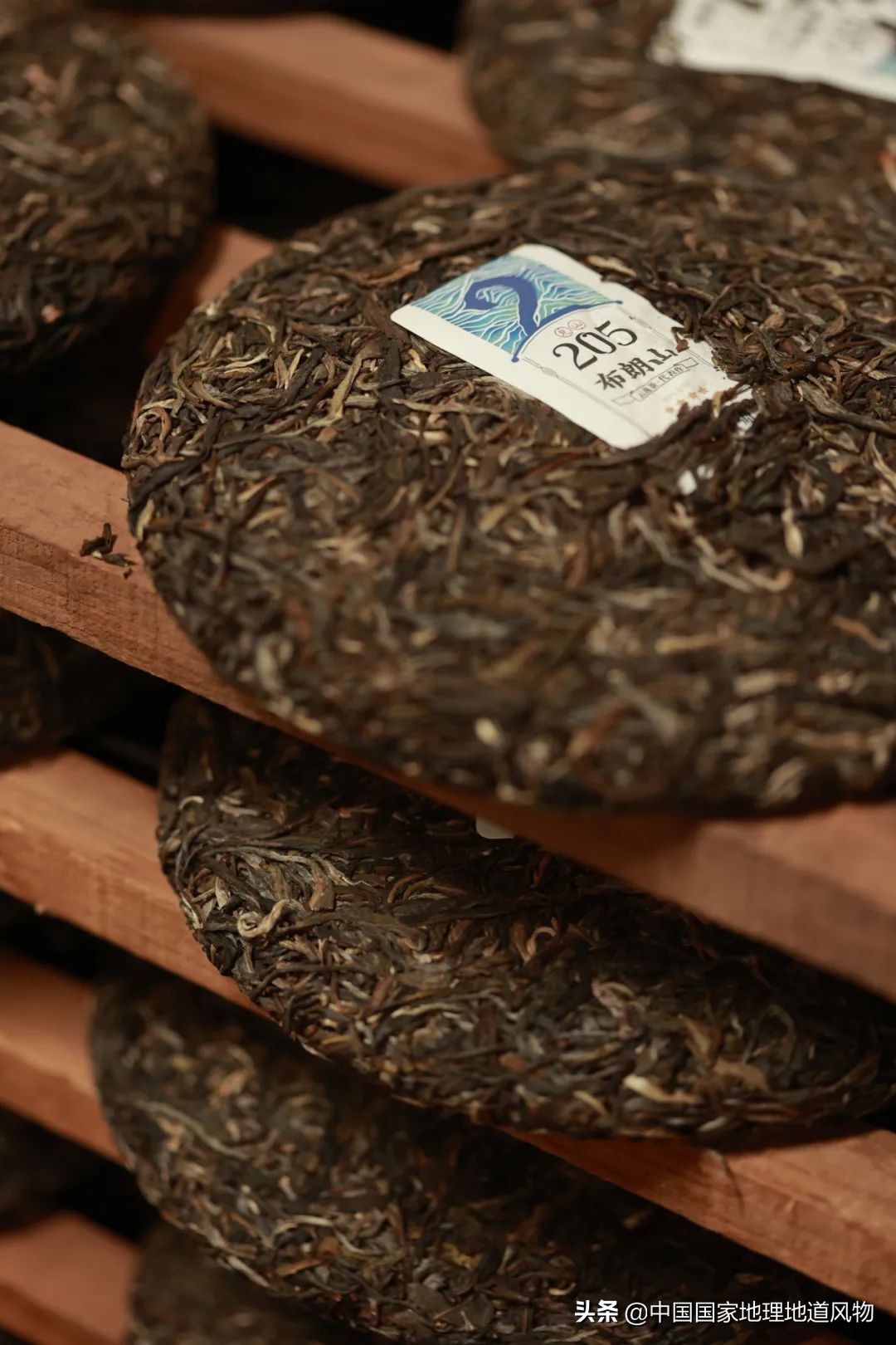 中国茶叶分布图,中国茶区详细分布图