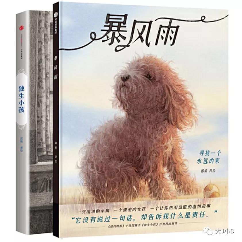 大班经典绘本推荐,国际获奖幼儿经典绘本推荐