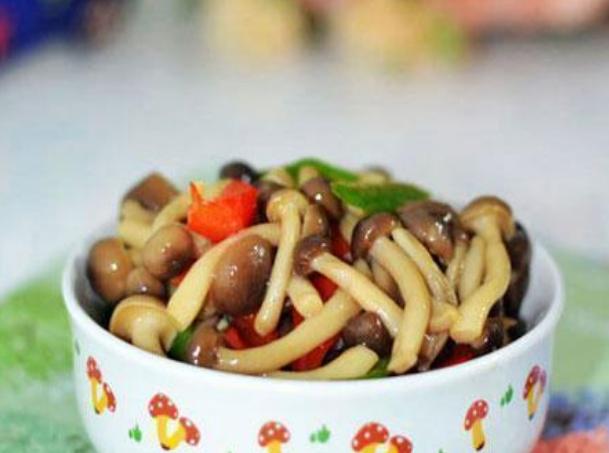 中医养生菜的功效,养生菜对身体好吗