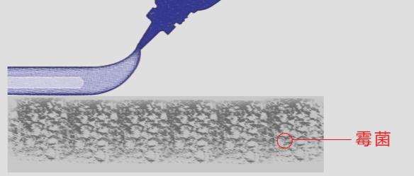 洗手台发霉，怎么办？老师傅教你一招，3秒统统清掉霉菌黑斑