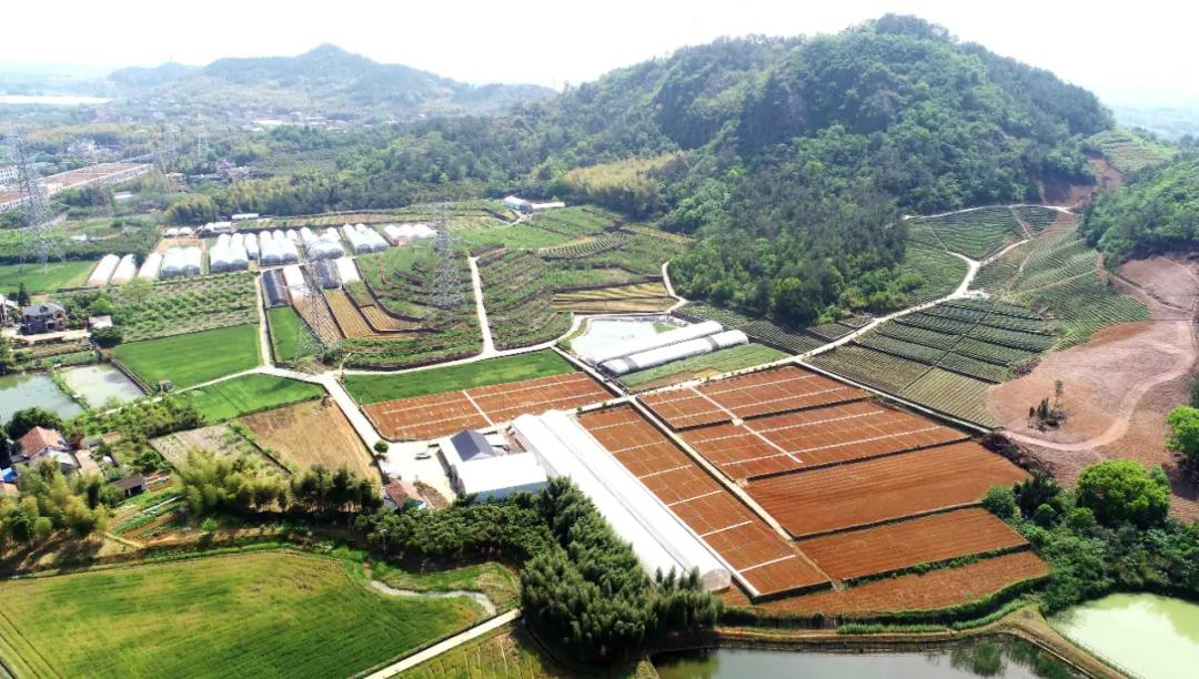 一起去瓶窑“拿块地”！古城旁，南山下，50个平方200元......