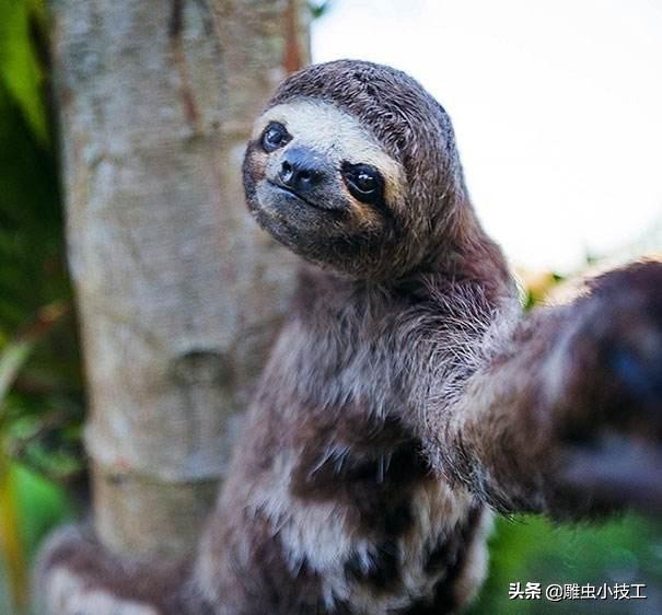 怎么样自拍才好看,怎样自拍才能最好看