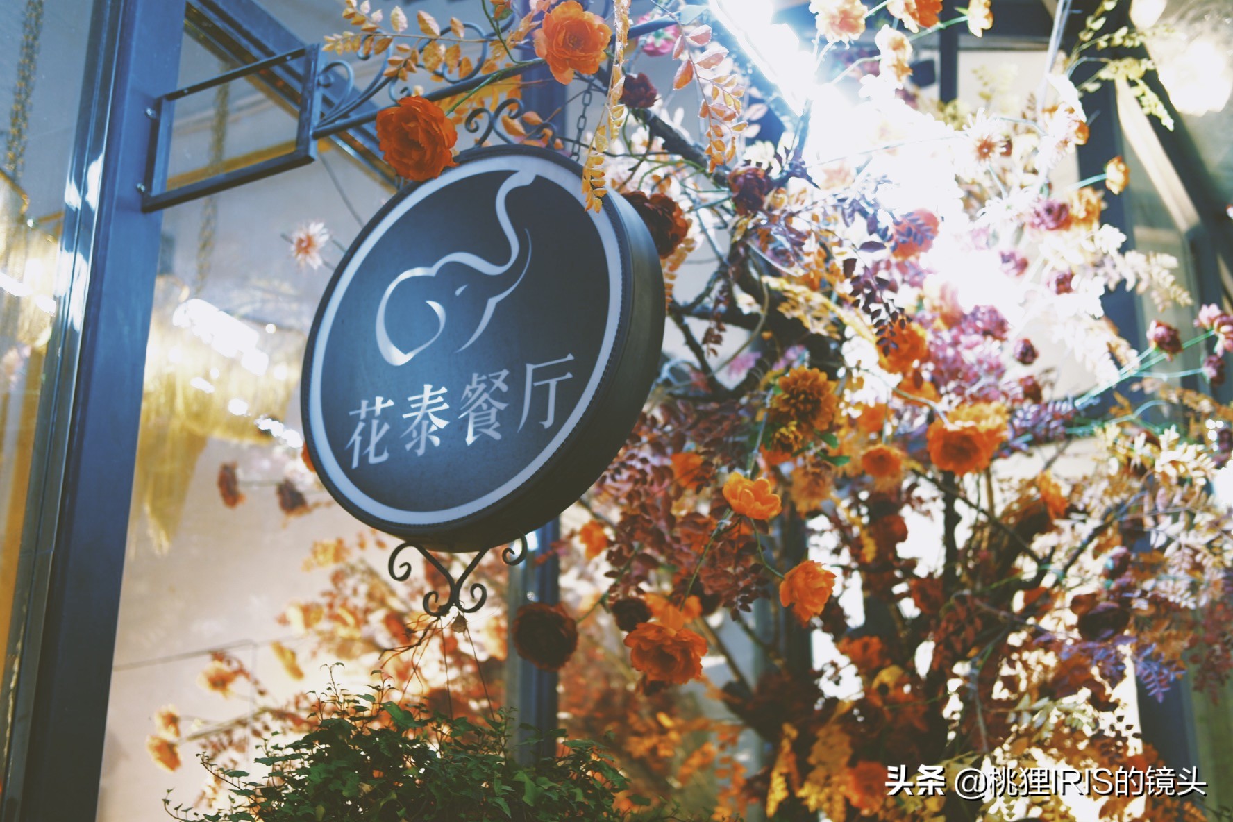 杭州餐厅探店推荐,杭州花园餐厅团购
