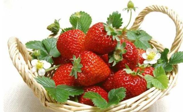 连云港特产风鹅怎么吃,连云港特产茶叶送人