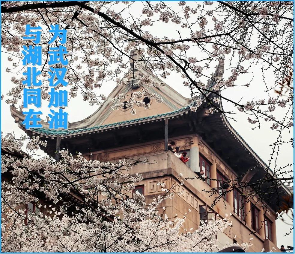 武汉真美少年邮局：把抗疫决心和家乡情怀画到“邮票”中​