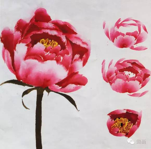 张克申写意牡丹画法教程,邵丹写意牡丹各阶段画法