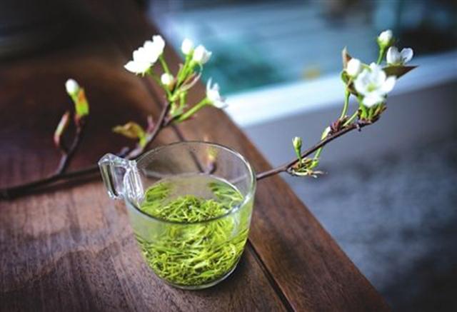 做过苏州东山的采茶女，我才品出了这世间的甘甜