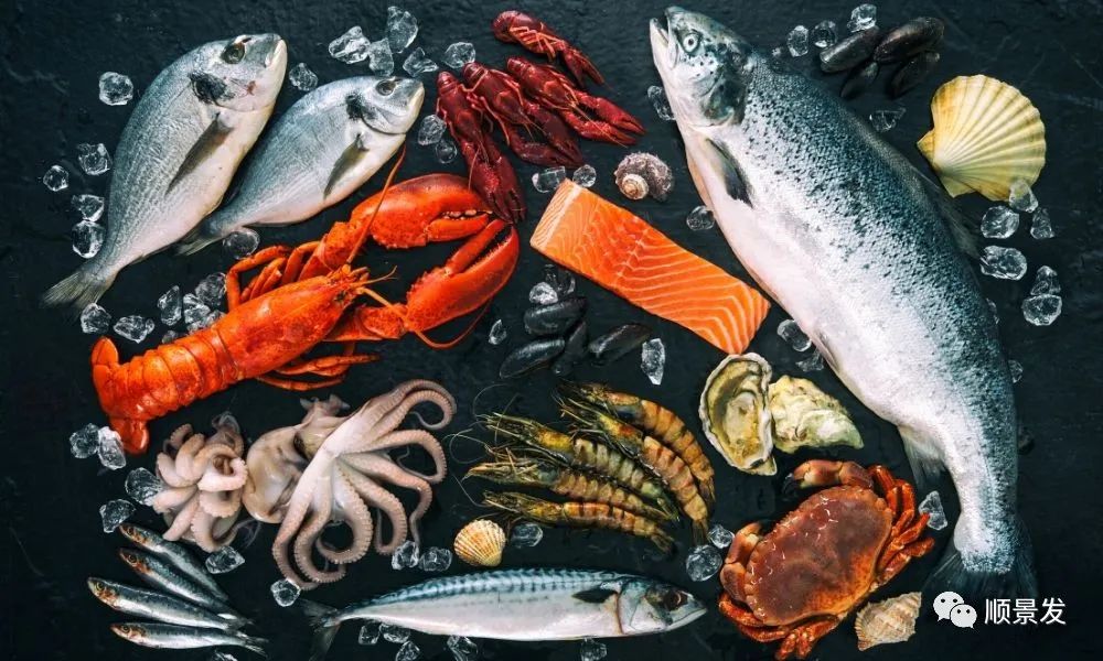 海捕船冻和鲜活船冻区别在哪里,熟冻海鲜跟冷冻海鲜有什么区别