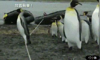 珍藏很久的40张趣图看完都笑疯了,逗趣图片