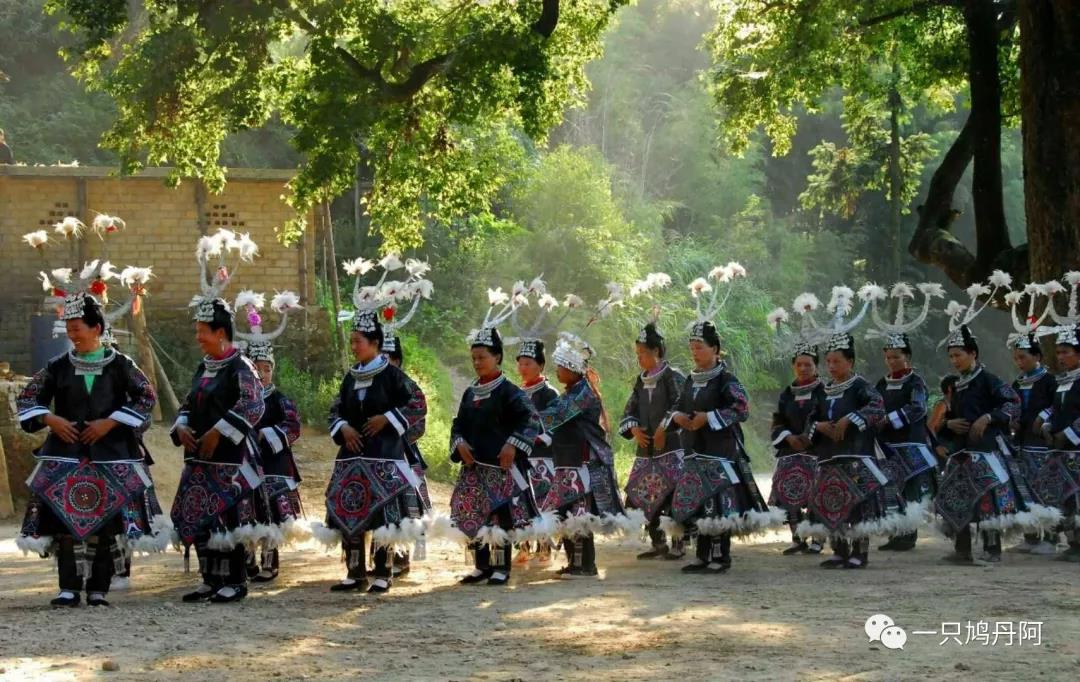 苗族百鸟衣搭配,百鸟衣苗族的介绍