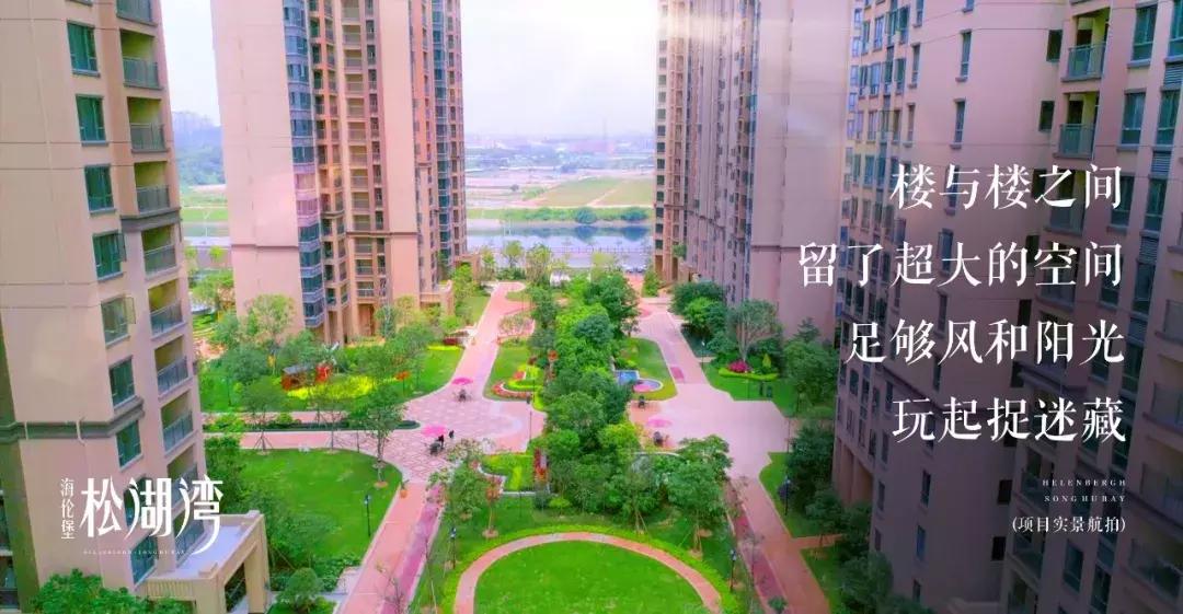 房有道正能量,房有道团购