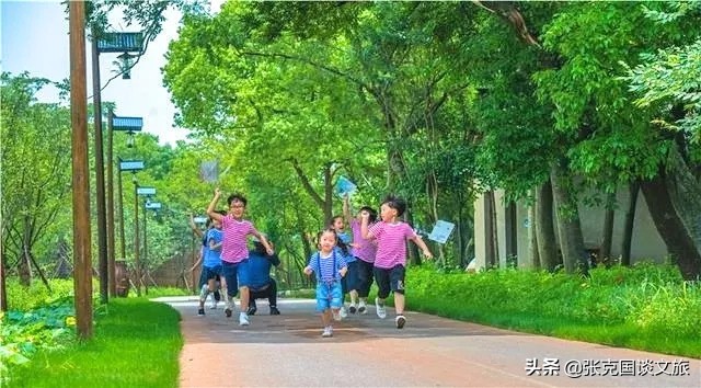 乌村景区,乌村度假村