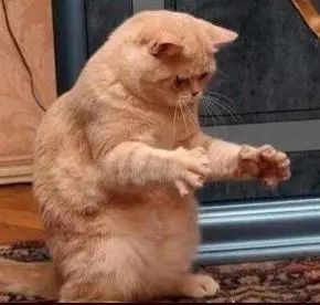 脸大的女生怎么补救,觉得自己脸大很丑很自卑怎么办